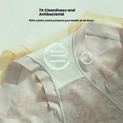 3-Pack High Waist Lace Briefs for Women