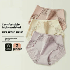 3-Pack Lace & Cotton Mid-High Waist Brief Underwear 40-80KG