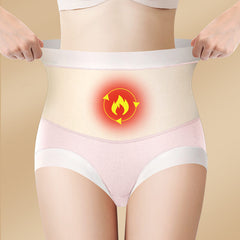 High Waist Warm Padded Panty Brief