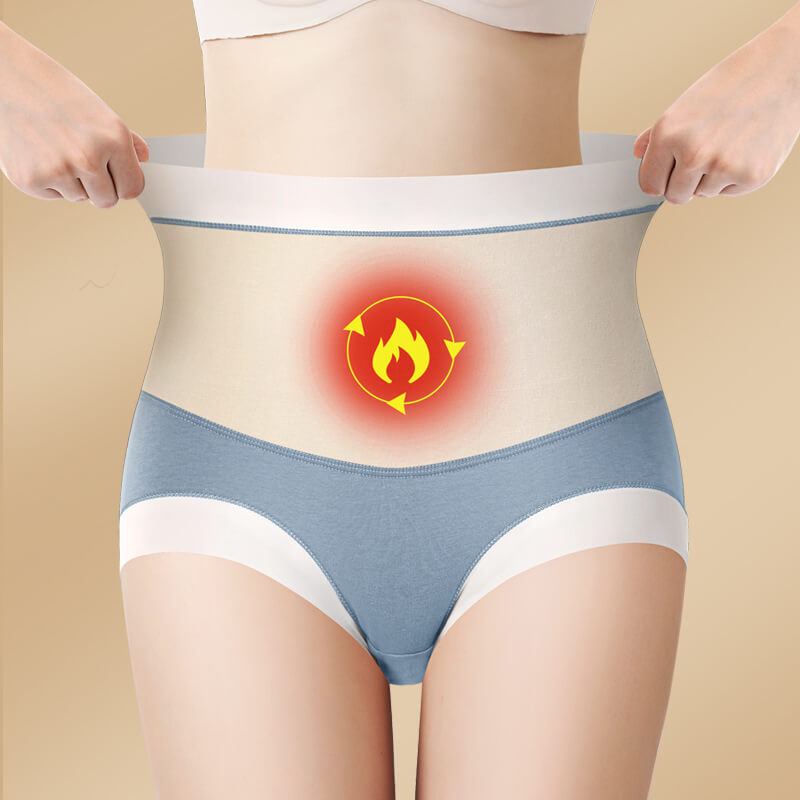 High Waist Warm Padded Panty Brief