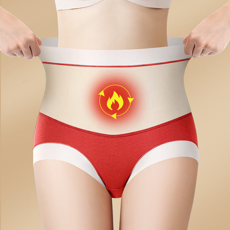 High Waist Warm Padded Panty Brief
