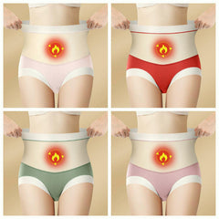 High Waist Warm Padded Panty Brief