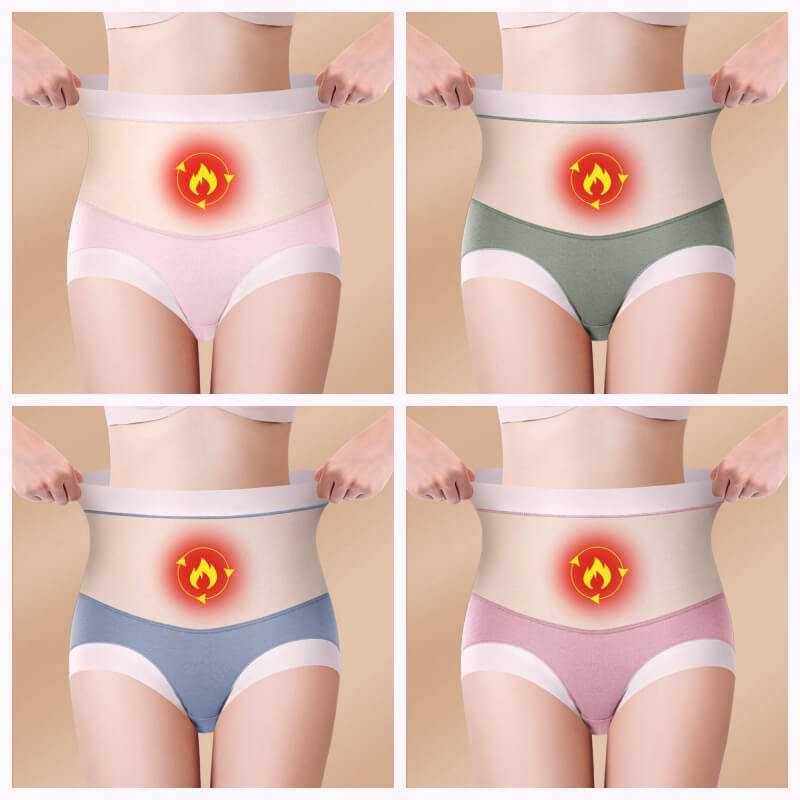 High Waist Warm Padded Panty Brief