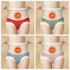 High Waist Warm Padded Panty Brief