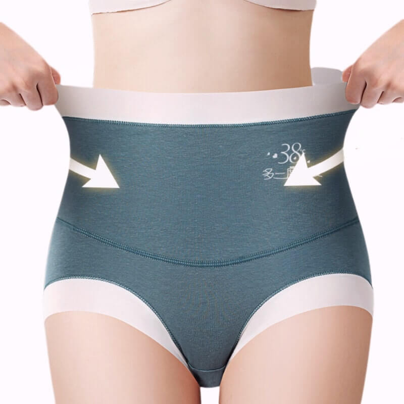 High Waist Warm Padded Panty Brief