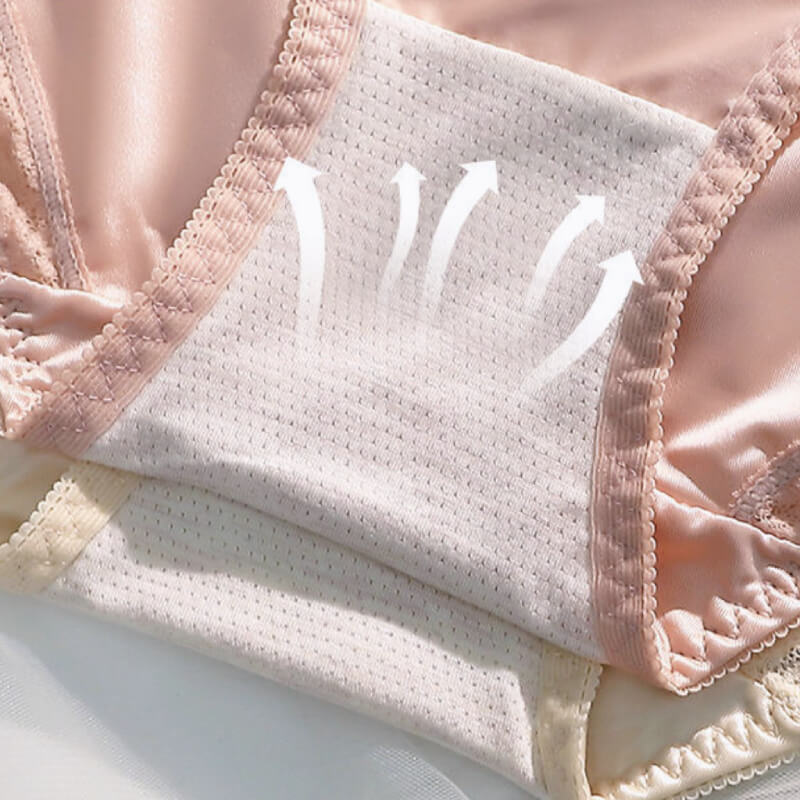 Luxurious Silk Seamless Panty Brief