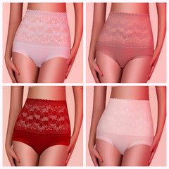 Plus Size High Cut Warm Antibacterial Panty Brief 11