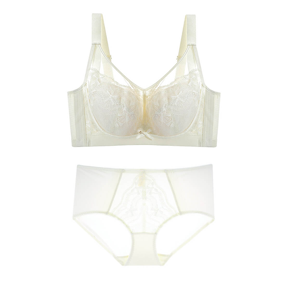 Plus Size Romantic Lace Bra - Full-Coverage Support & Sheer Mesh