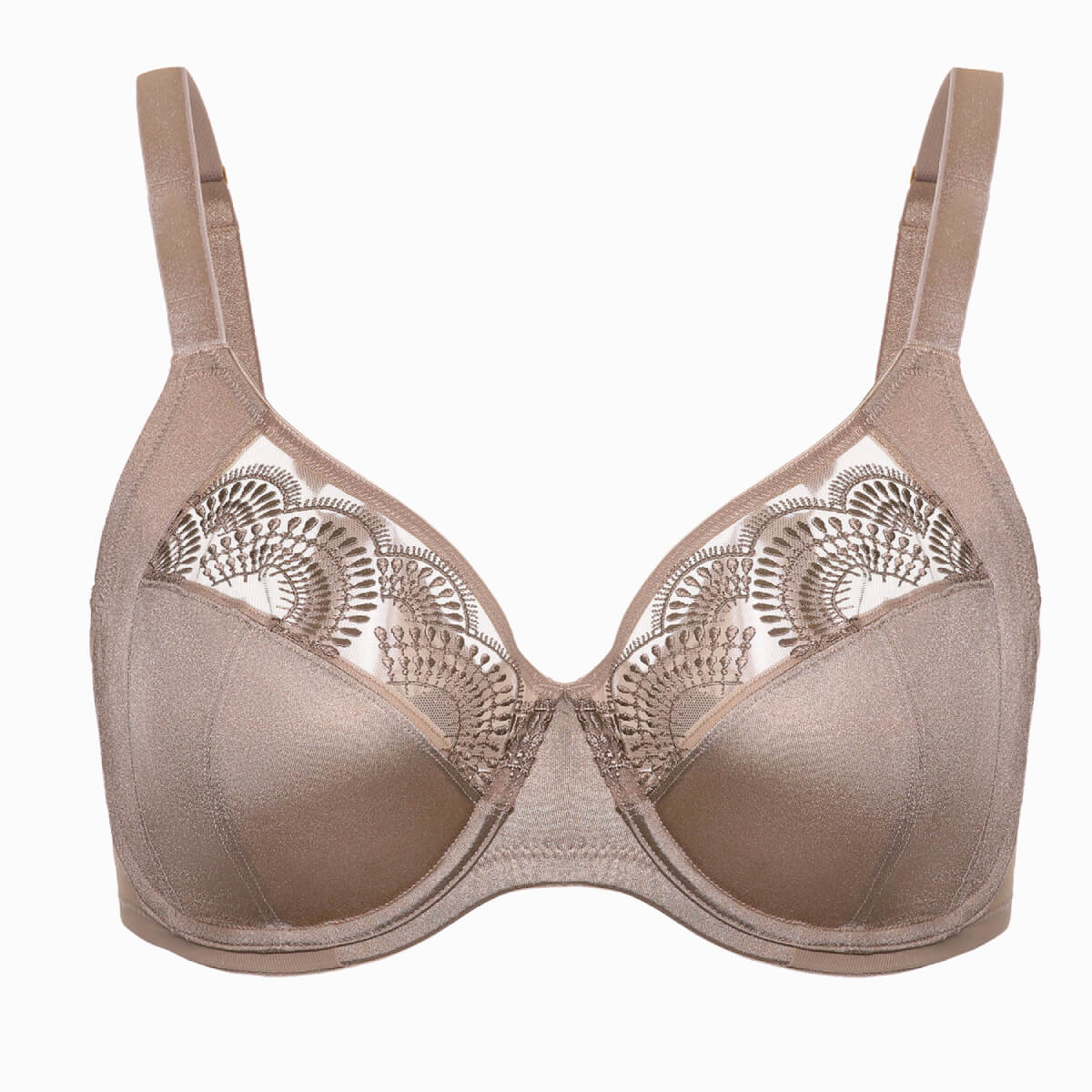 Women's Sheer Sexy Lace Full Cup Minimizer Bra