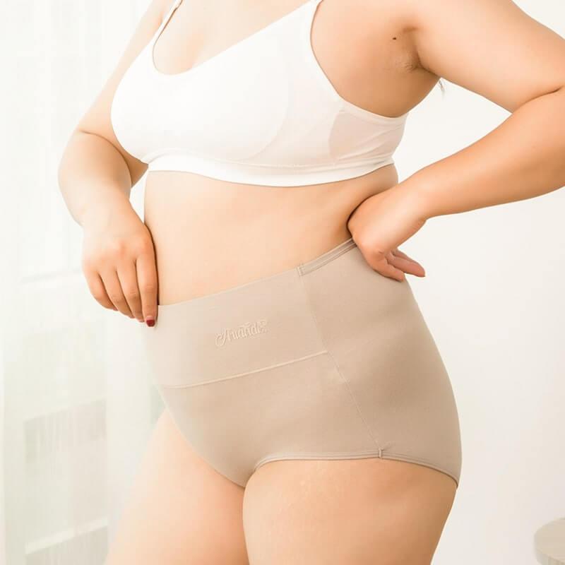 Cotton Plus Size High Waisted Panties 4PCS/Set