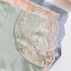 Large Size Cotton Hi Waist Brief - Okay Trendy