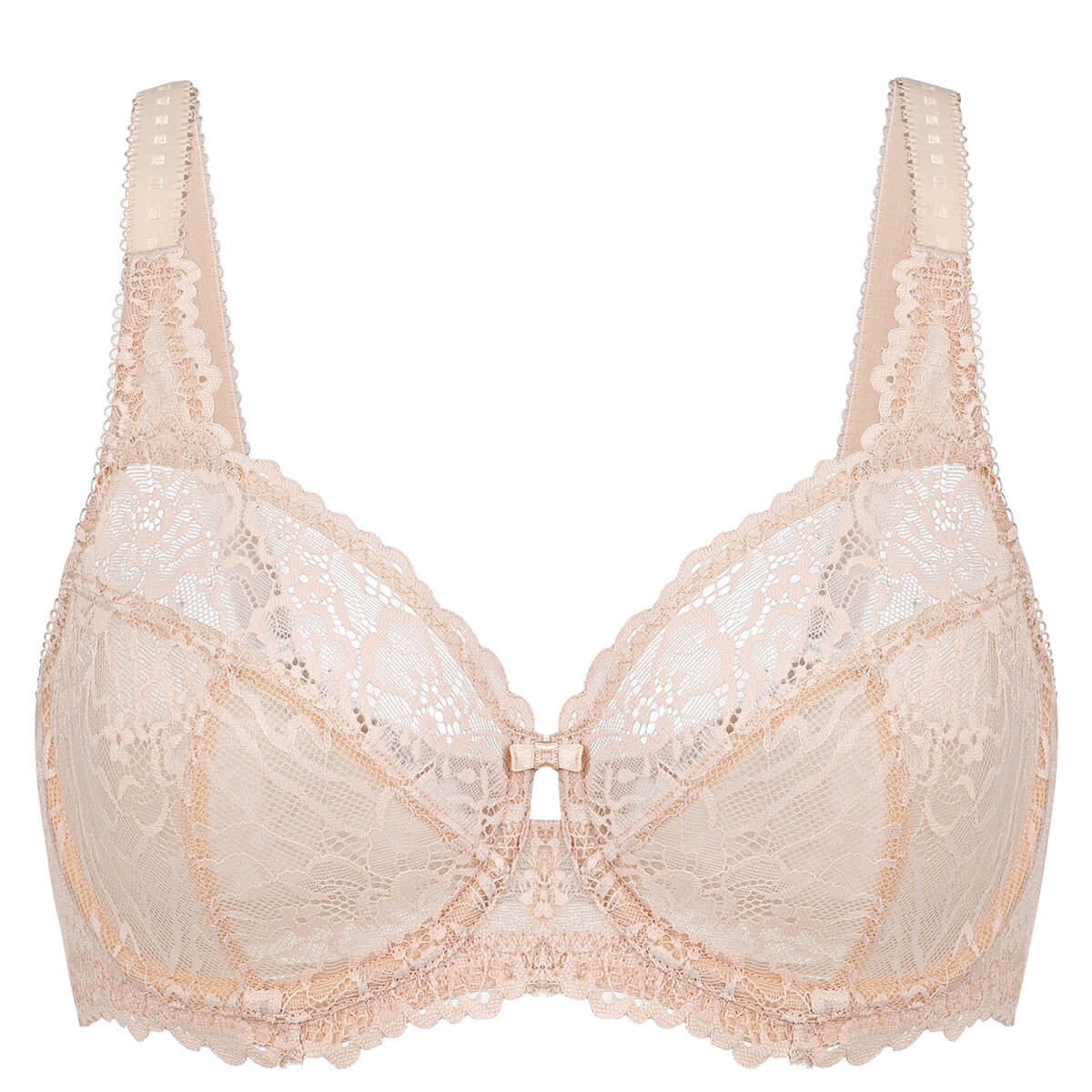 Minimizer See Through Unlined Underwire Bra