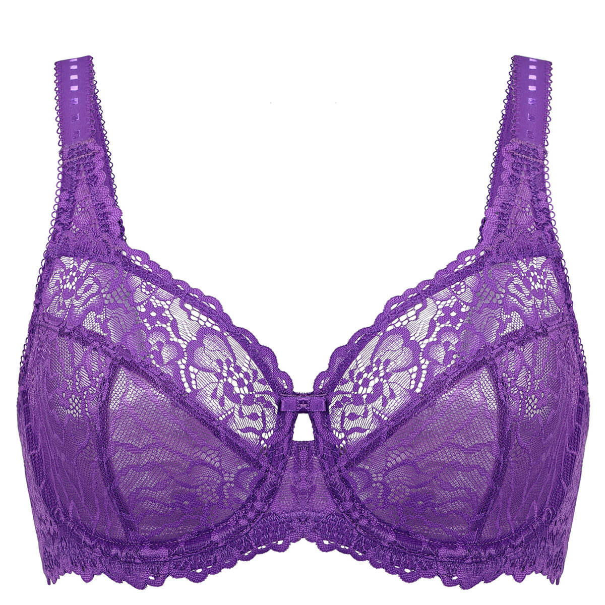 Plus Size See Through Mesh Bra