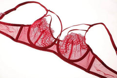 Lace Plunge See Through Underwire Bra And Panty Sets - Okay Trendy