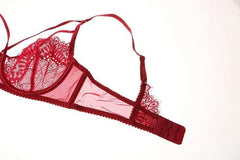 Lace Plunge See Through Underwire Bra And Panty Sets - Okay Trendy