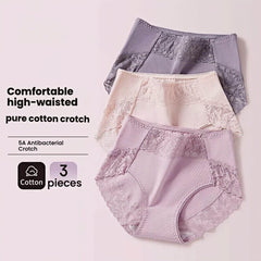 3-Pack Lace & Cotton Mid-High Waist Brief Underwear 40-80KG