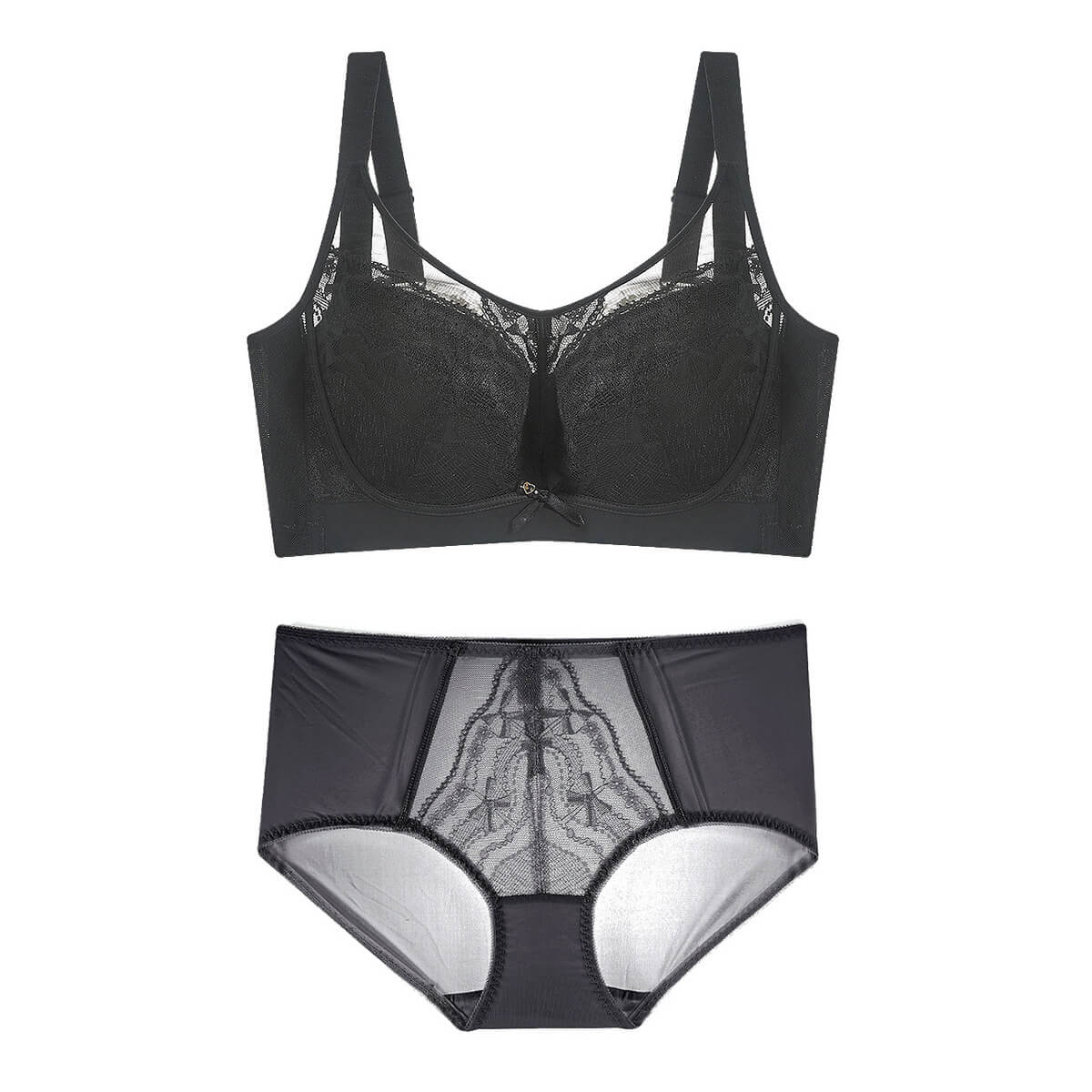 Plus Size Romantic Lace Bra - Full-Coverage Support & Sheer Mesh