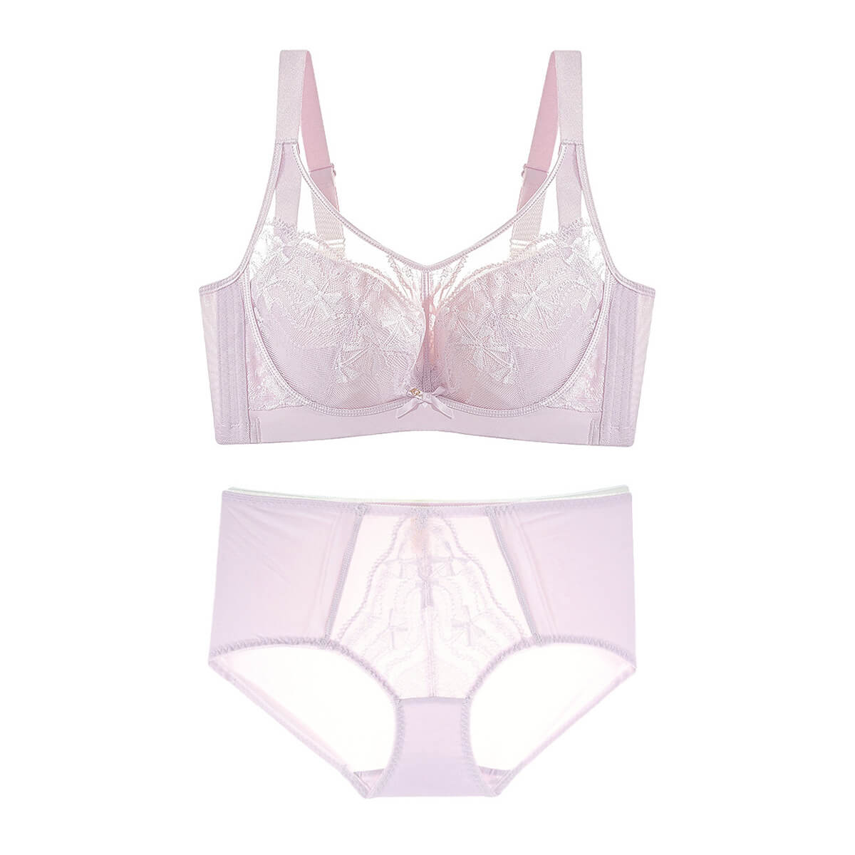 Plus Size Romantic Lace Bra - Full-Coverage Support & Sheer Mesh