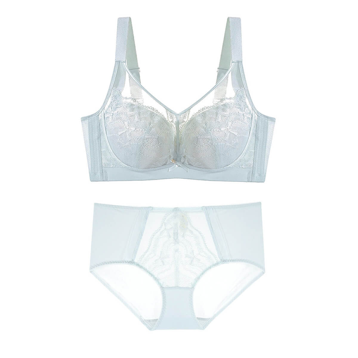 Plus Size Romantic Lace Bra - Full-Coverage Support & Sheer Mesh
